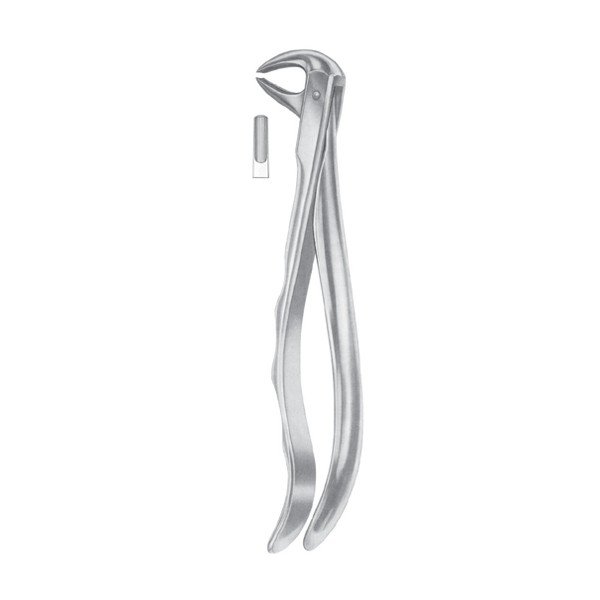 EXTRACTING FORCEPS 