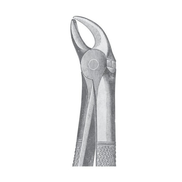 EXTRACTING FORCEPS 