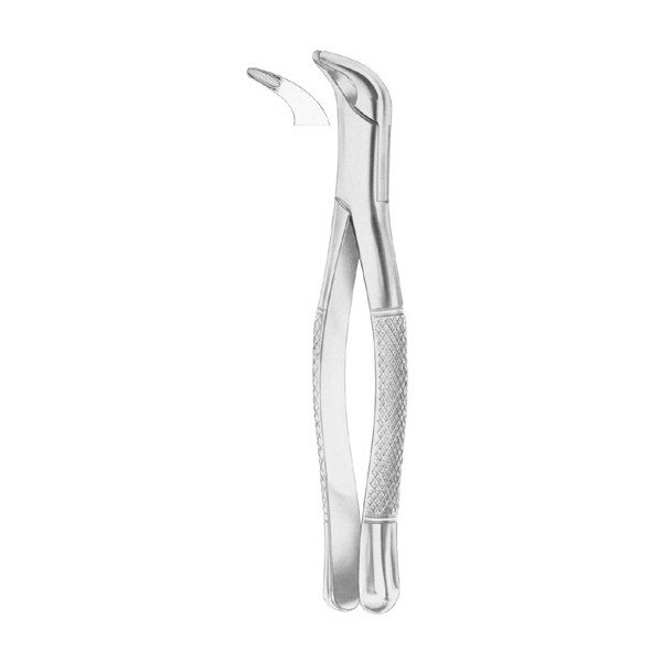 EXTRACTING FORCEPS 'AMERICAN PATTERN'