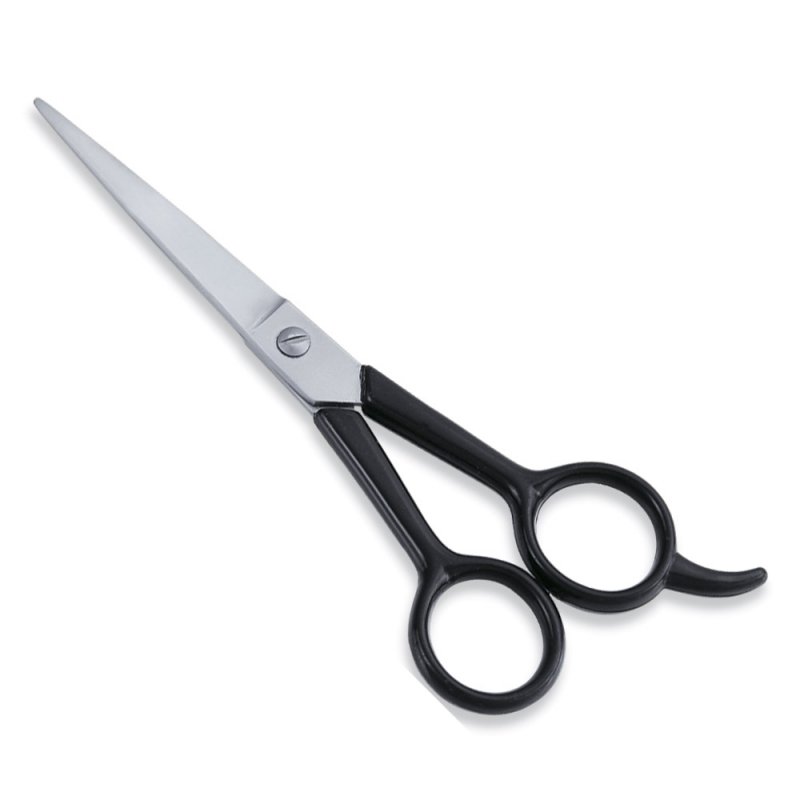 Economy Hair Scissor