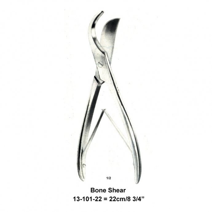  Bone Shear