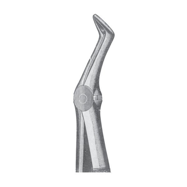 EXTRACTING FORCEPS 