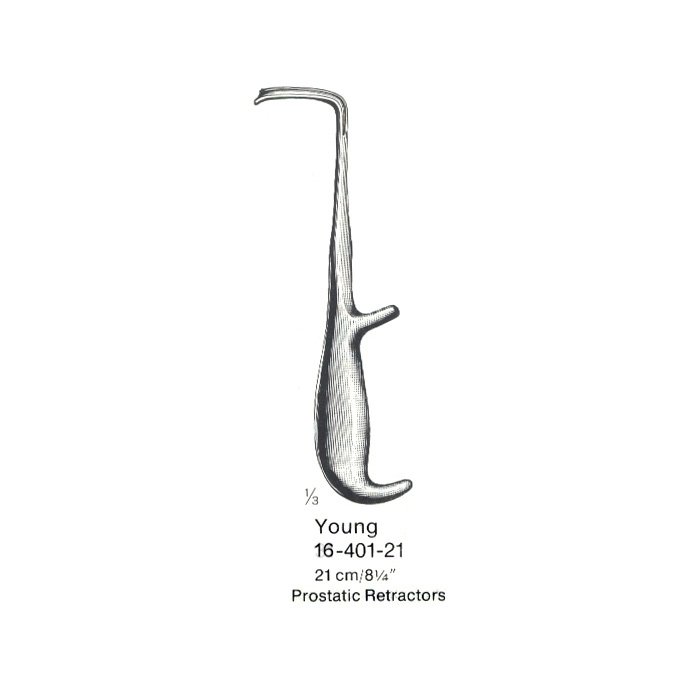 Young, 21 cm