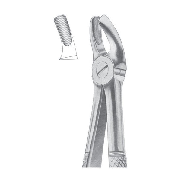 EXTRACTING FORCEPS ' ENGLISH PATTERN'