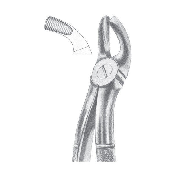 EXTRACTING FORCEPS ' ENGLISH PATTERN'