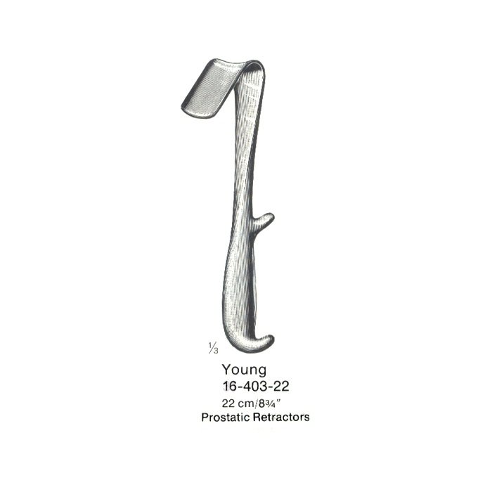 Young, 22 cm