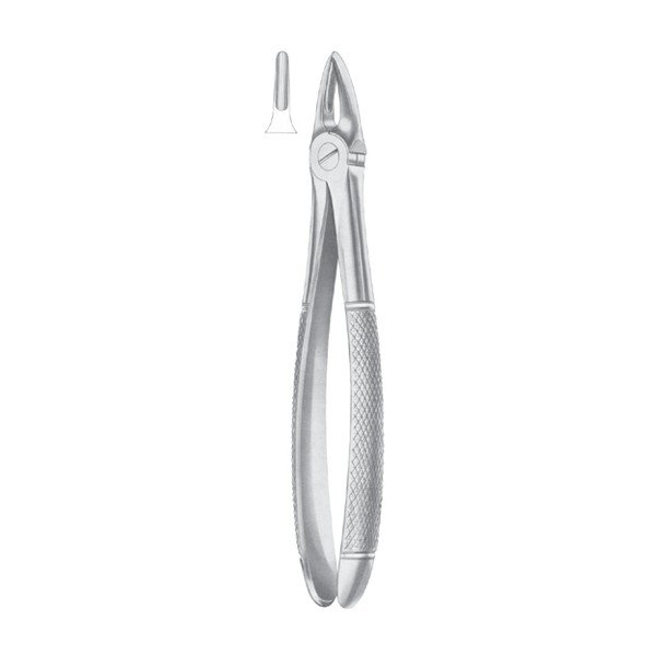 EXTRACTING FORCEPS ' ENGLISH PATTERN'