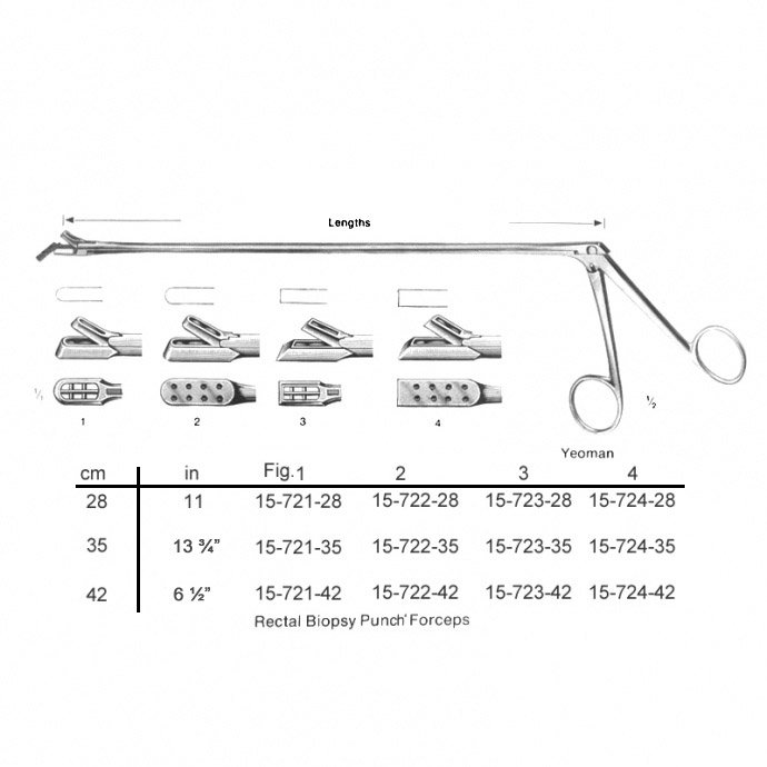 Rectal Biopsy 